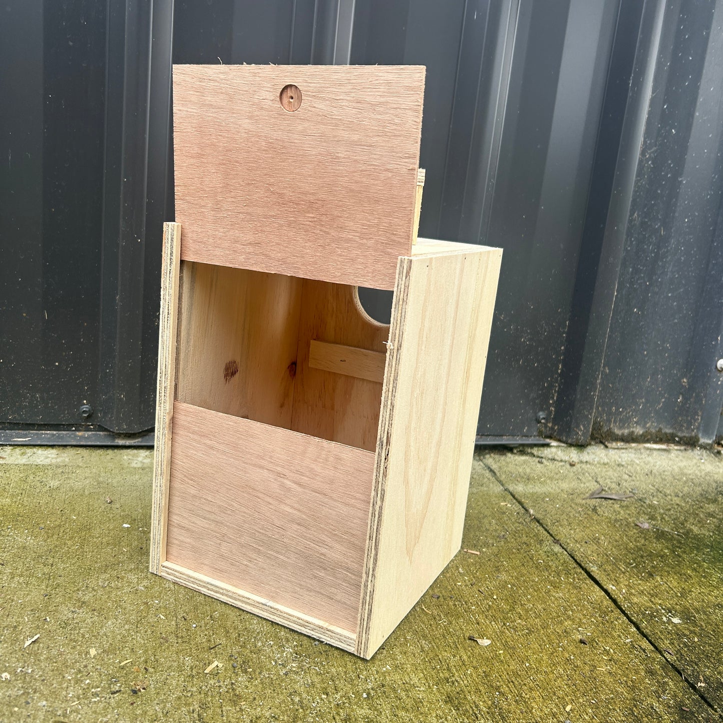 Parrot Nest Box Small - Cockatiel