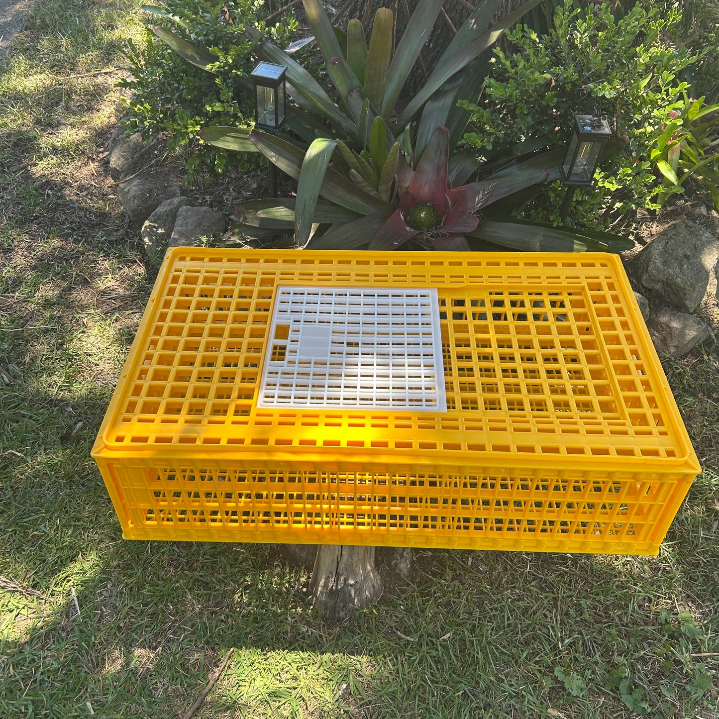 Chicken Poultry Transport Crate Heavy Duty