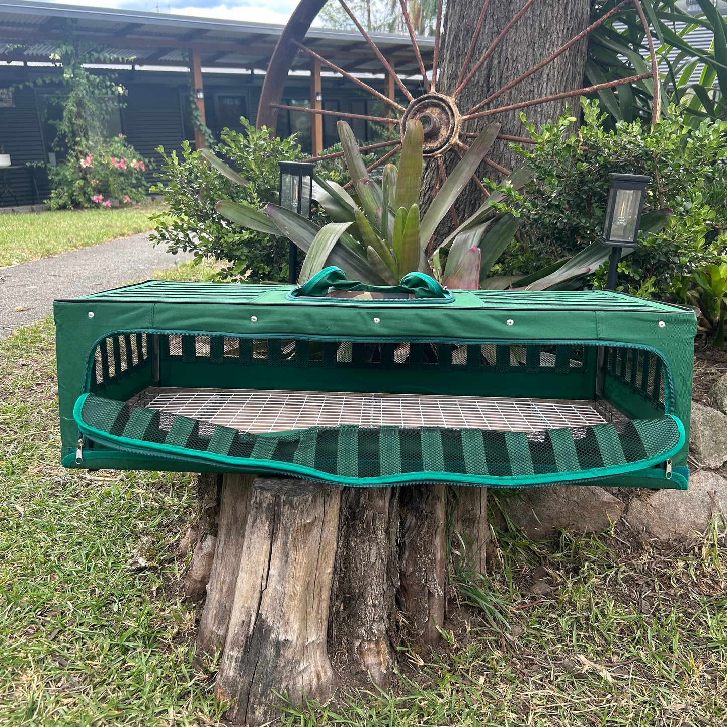 Pigeon basket canvas 800