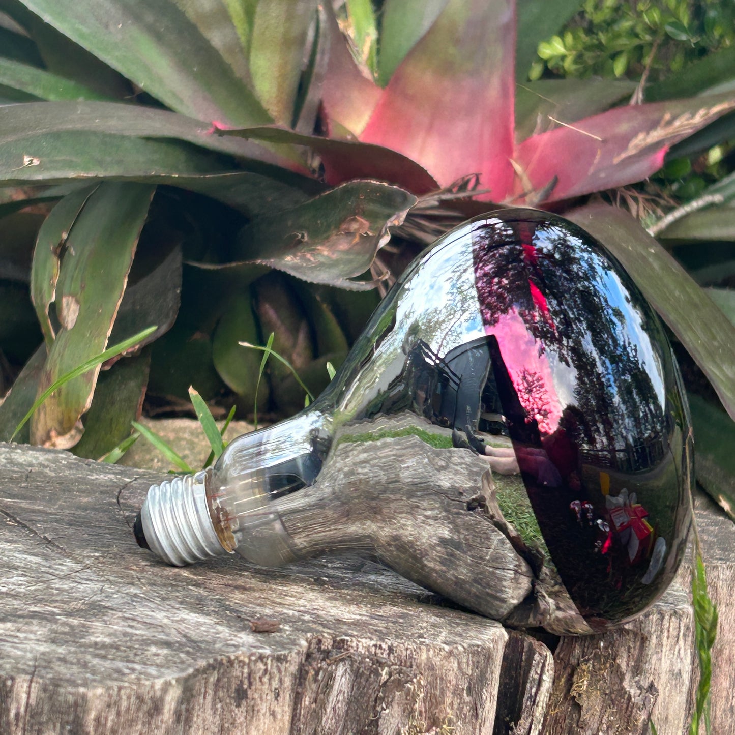Brooder Light Bulb Infrared Or Clear 100 - 150 Watts