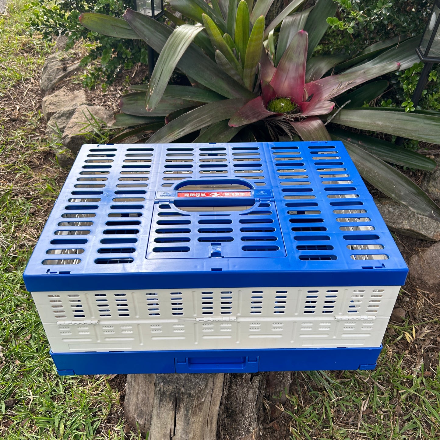 Pigeon Basket Plastic