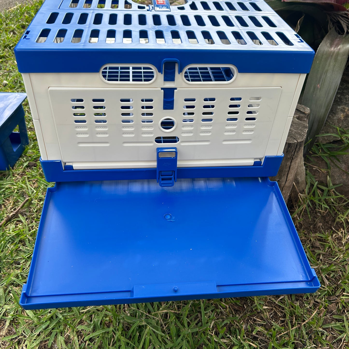 Pigeon Basket Plastic