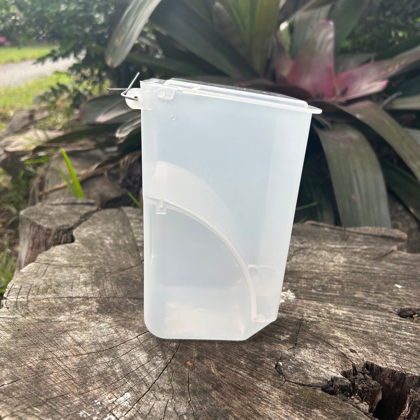 Bird Feeder With Seed Hopper