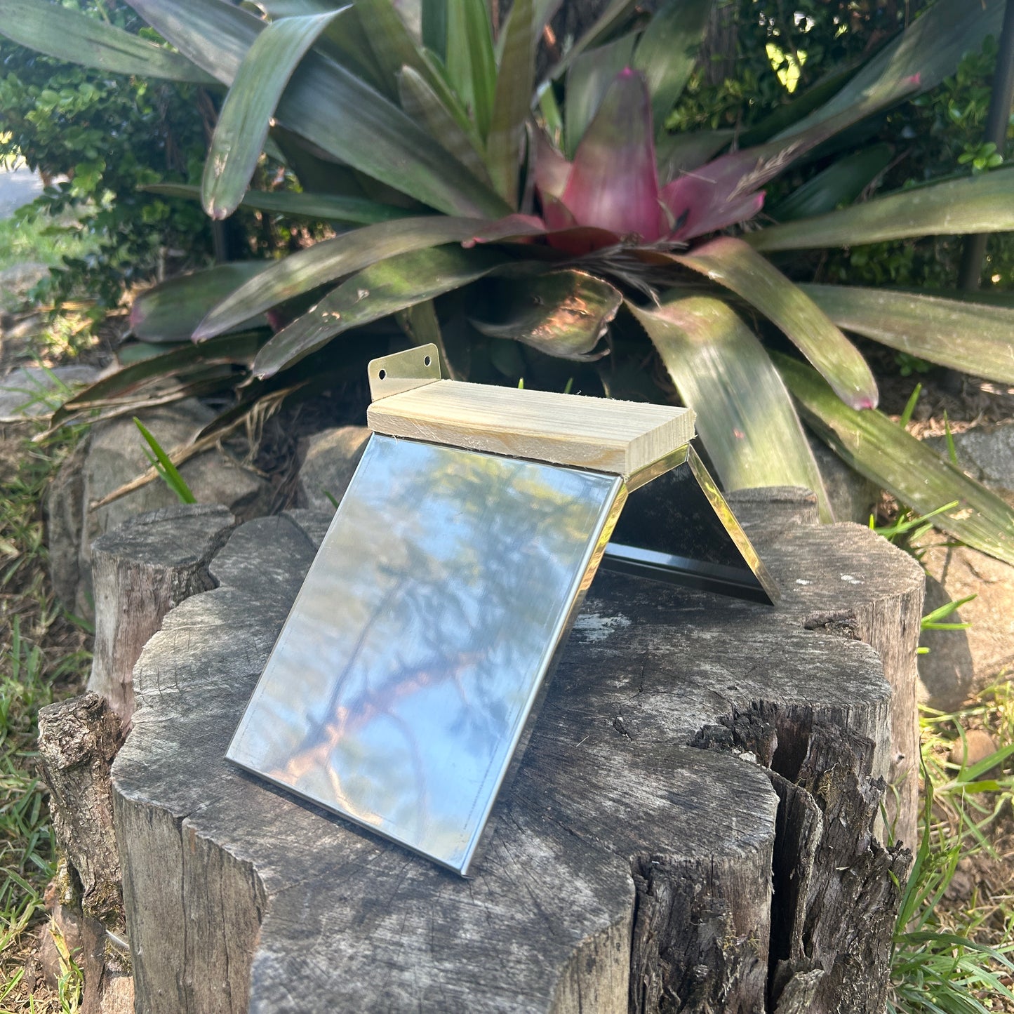 Pigeon Dove V- Perch Stainless Steel Set Of 5