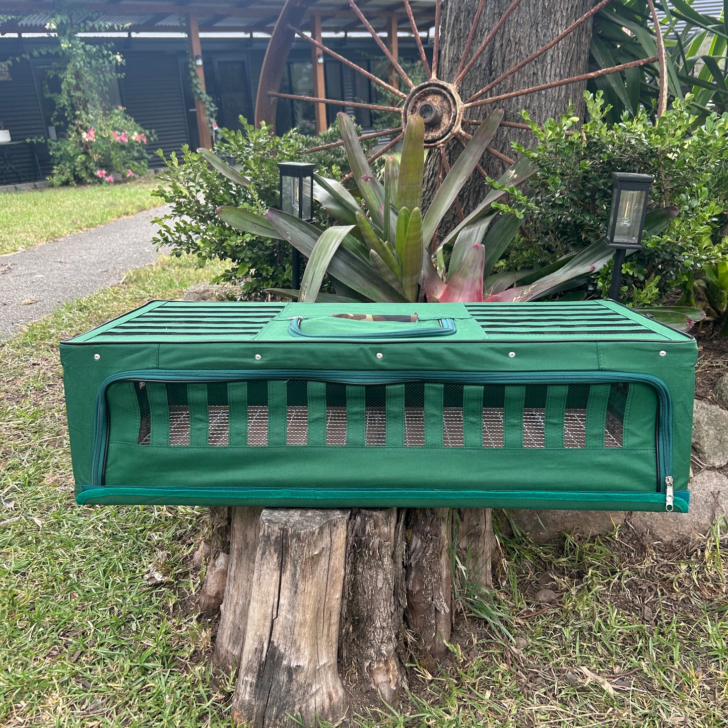 Pigeon basket canvas 800