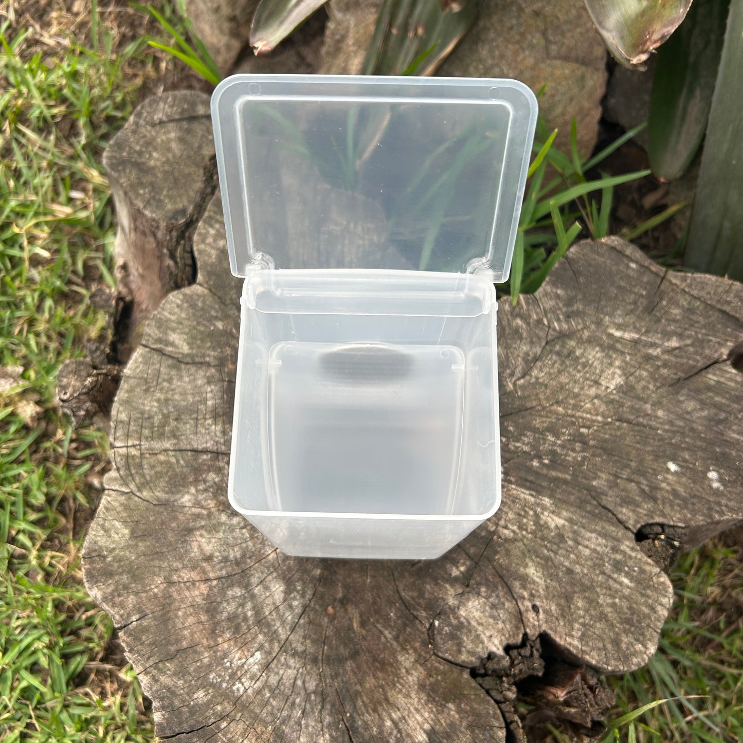 Bird Feeder With Seed Hopper