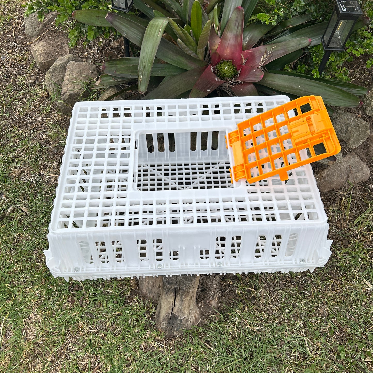 Chicken Poultry Pigeon Transport Crate White