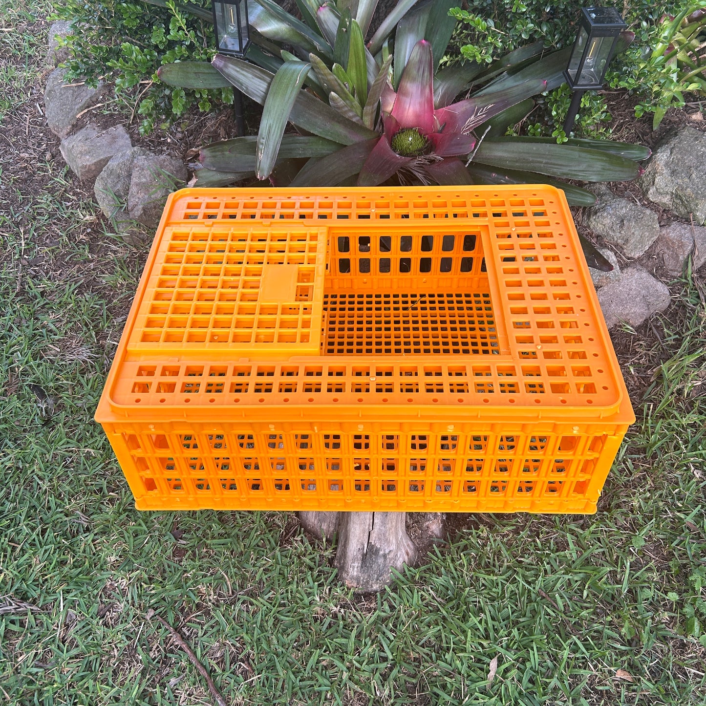 Chicken Poultry Transport Crate Heavy Duty