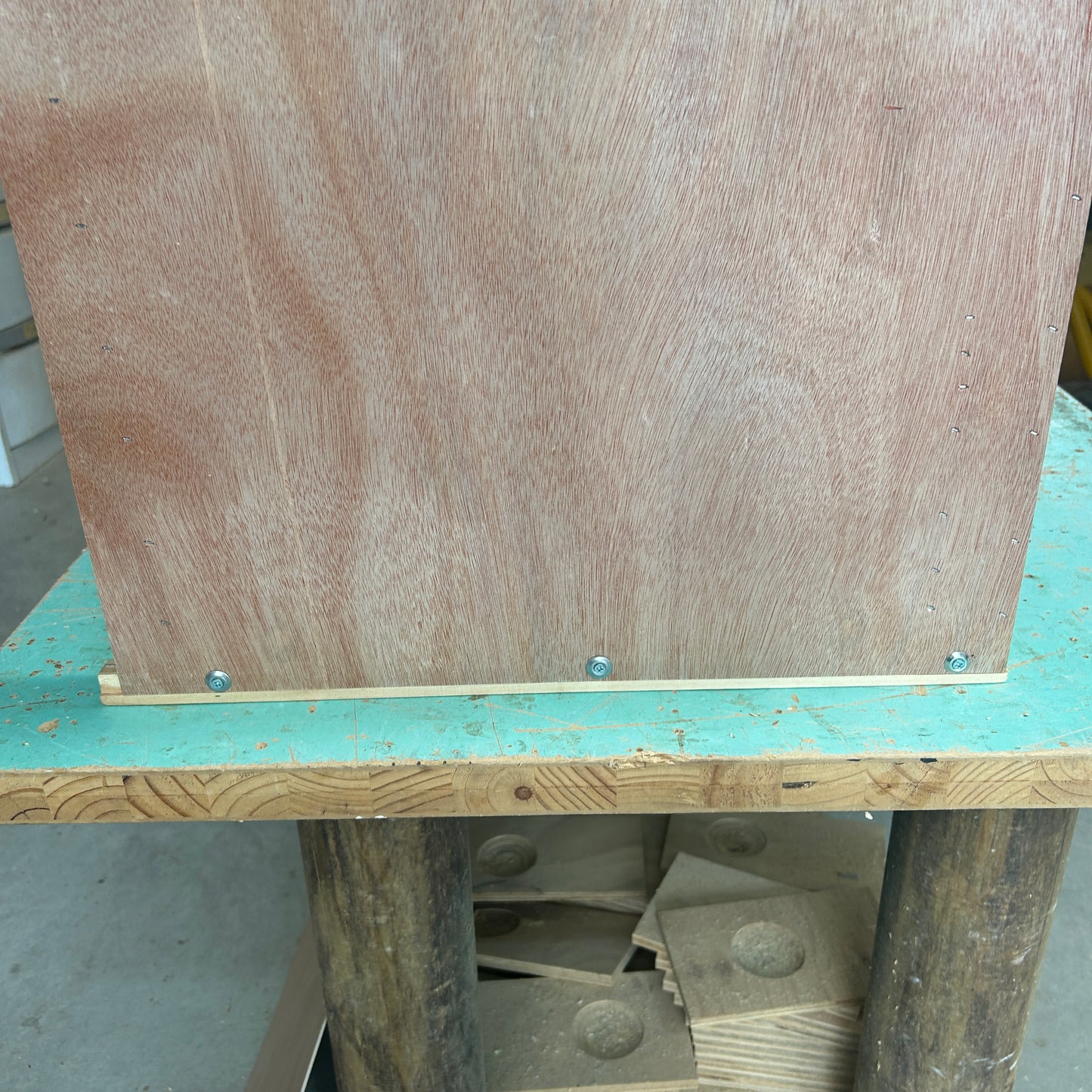 Widowhood Pairing Box Budget