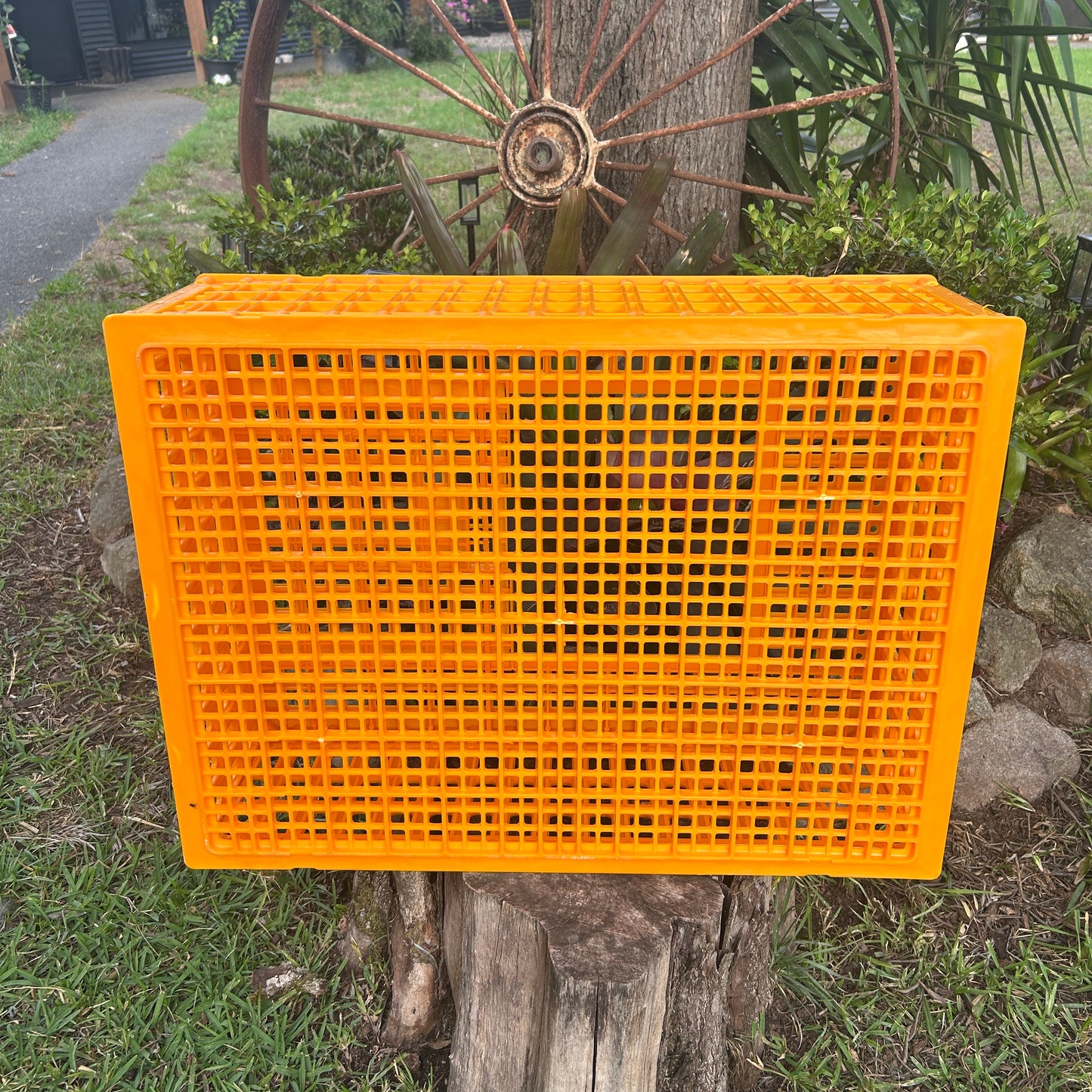 Chicken Poultry Transport Crate Heavy Duty