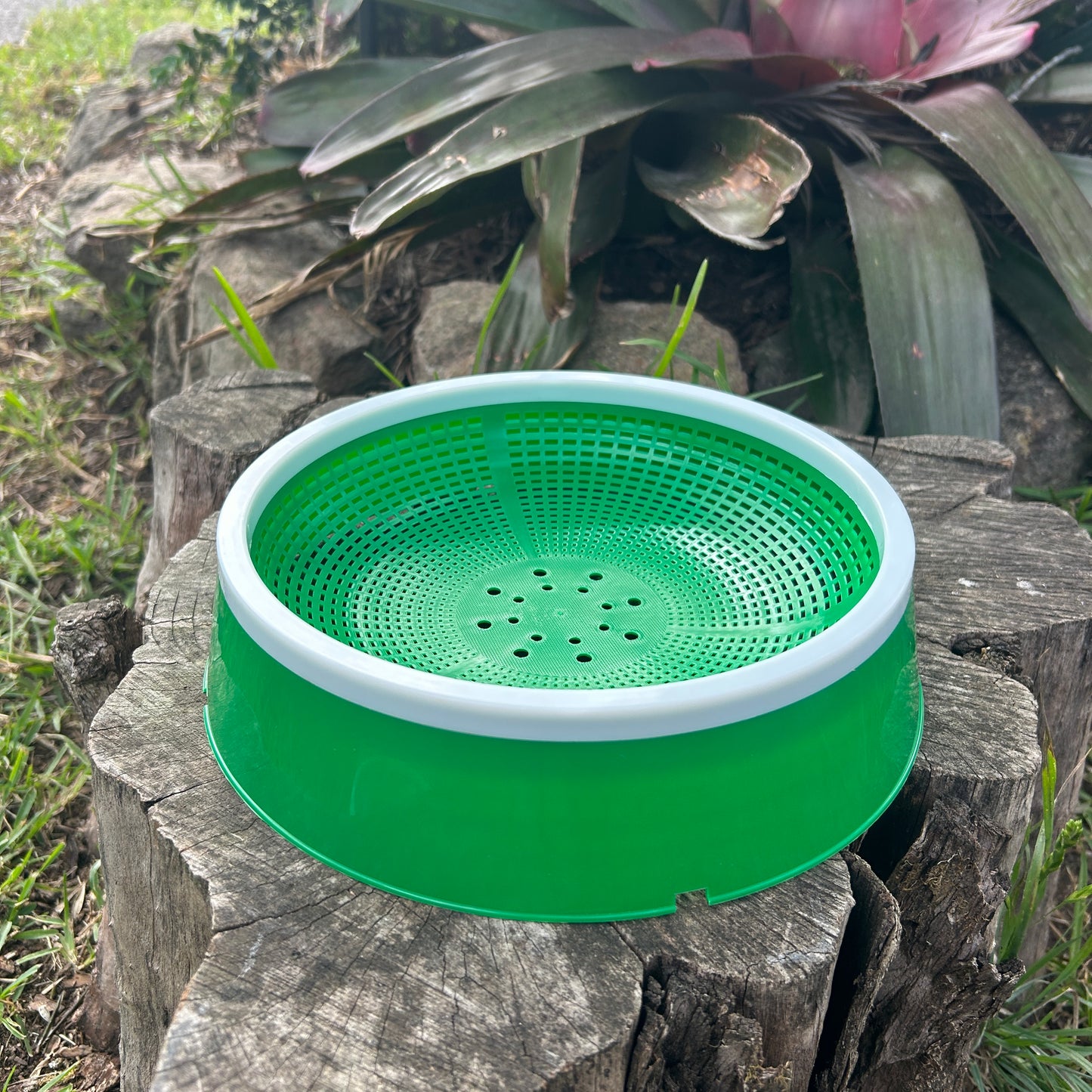 5 Pigeon Nest Bowls Plastic Green