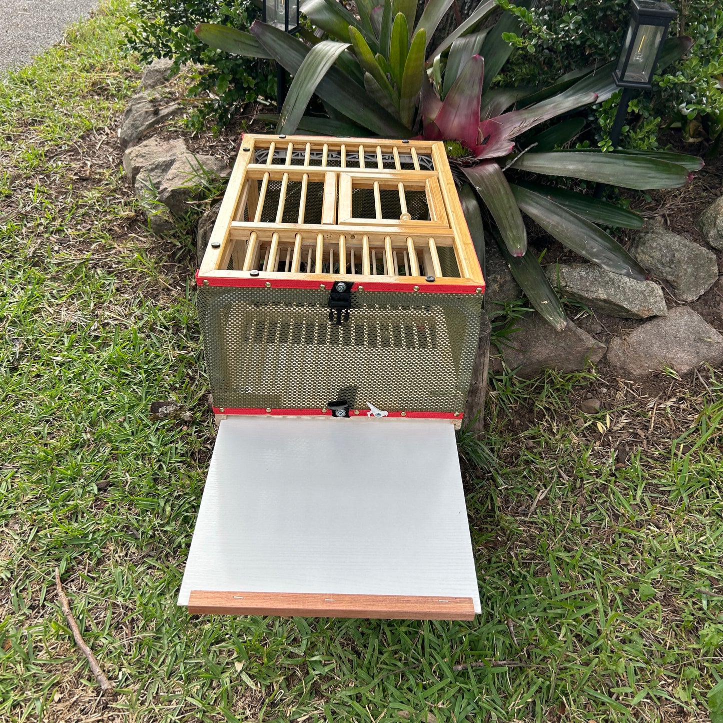 Pigeon basket wood and mesh