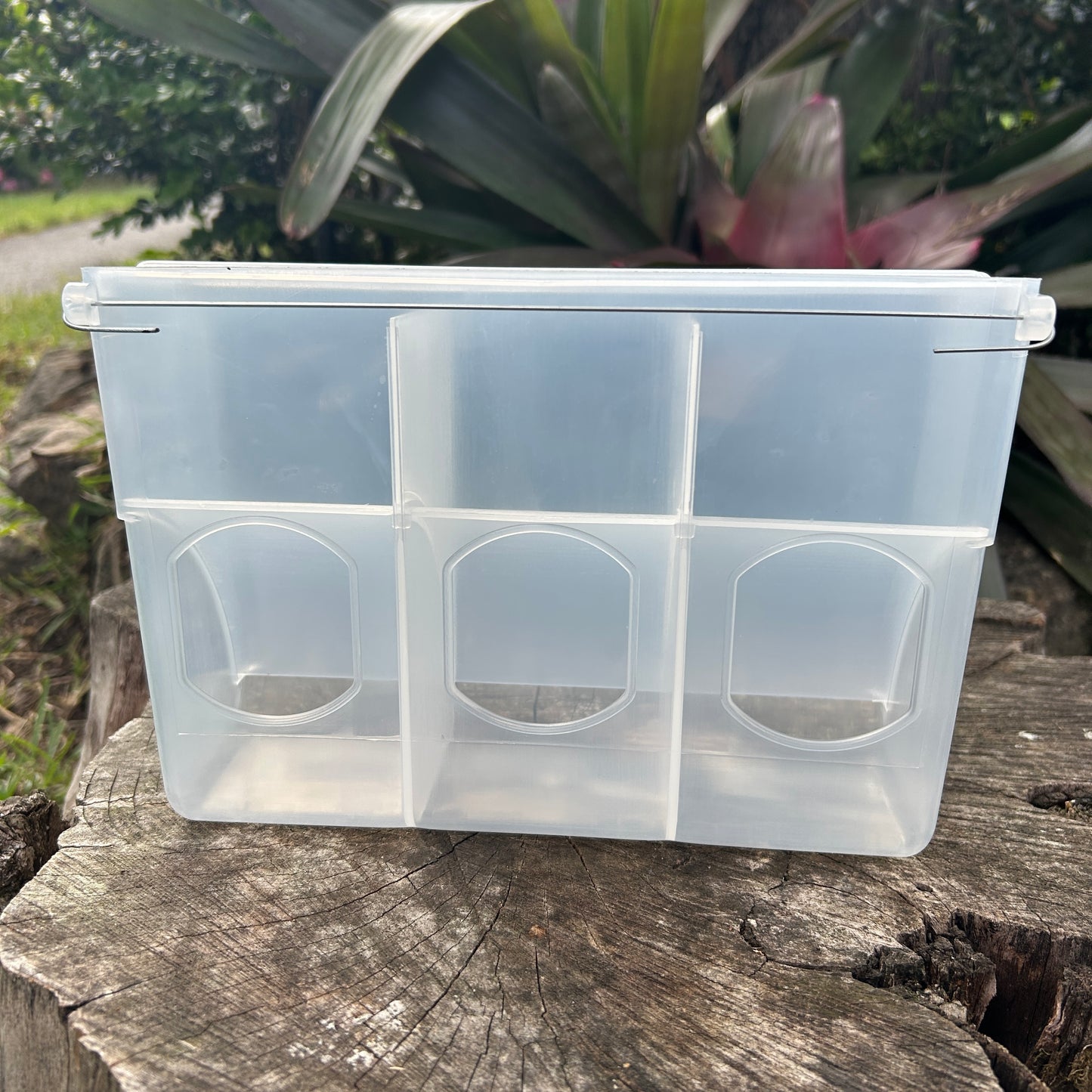 Bird Feeder With Seed Hopper