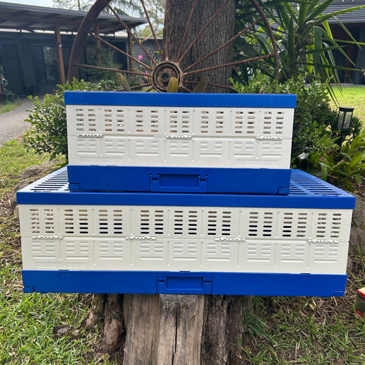 Pigeon Basket Plastic