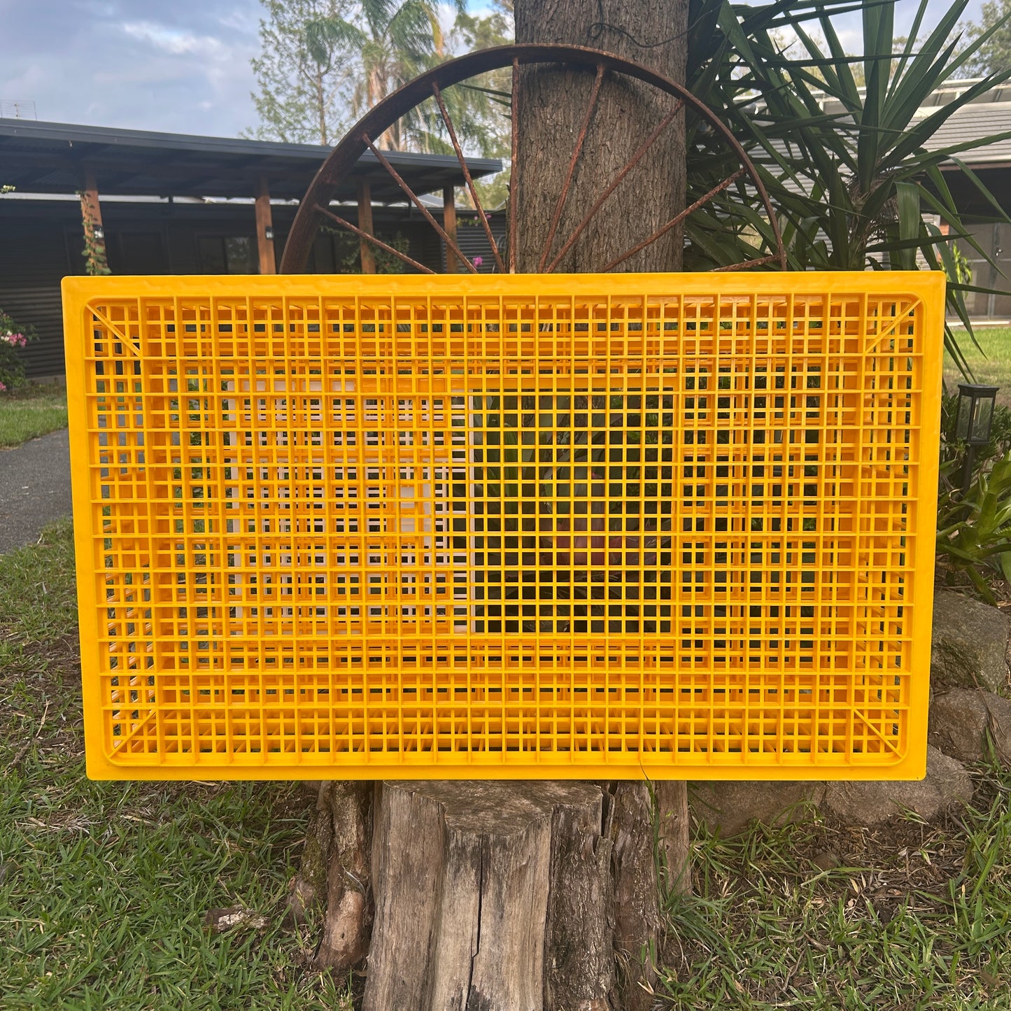 Chicken Poultry Transport Crate Heavy Duty