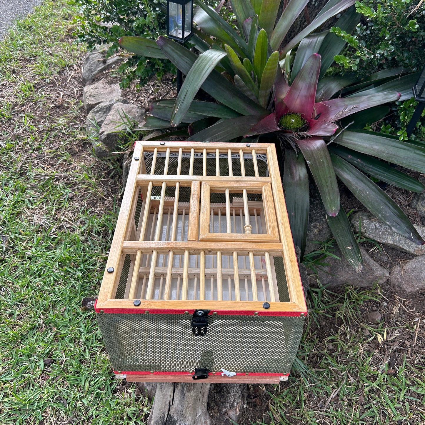 Pigeon basket wood and mesh
