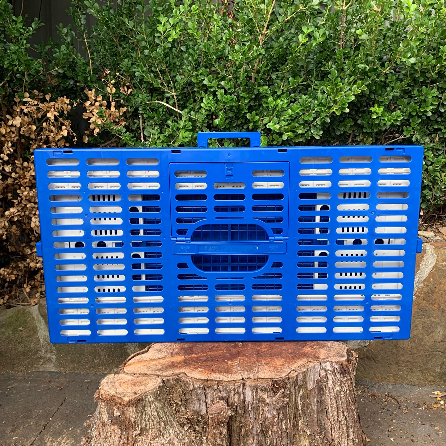 Pigeon basket plastic 800