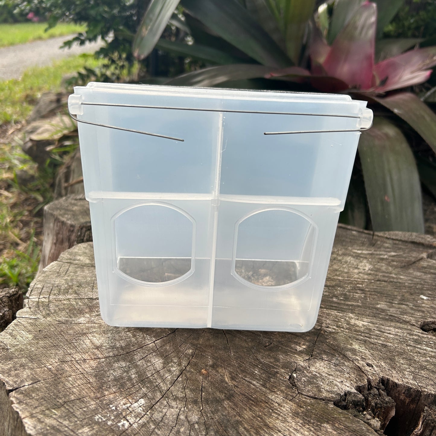 Bird Feeder With Seed Hopper