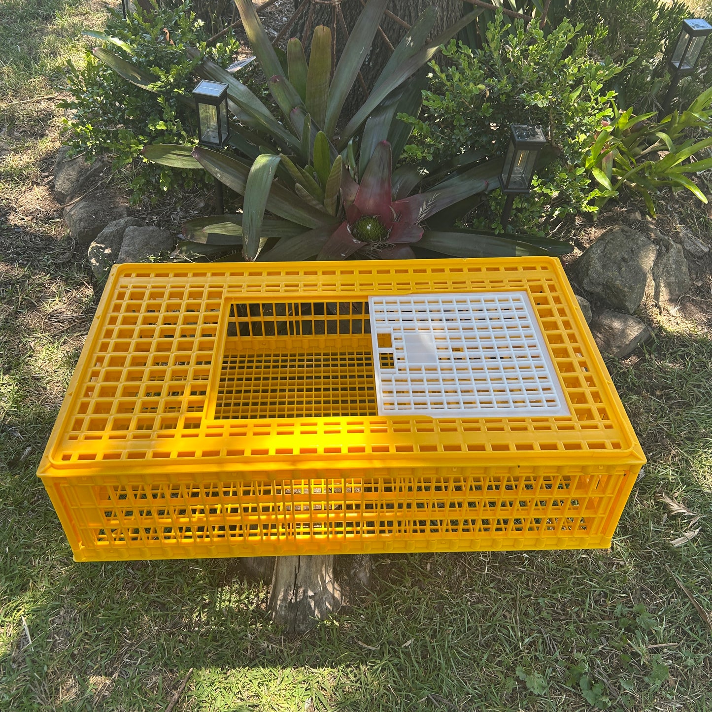 Chicken Poultry Transport Crate Heavy Duty