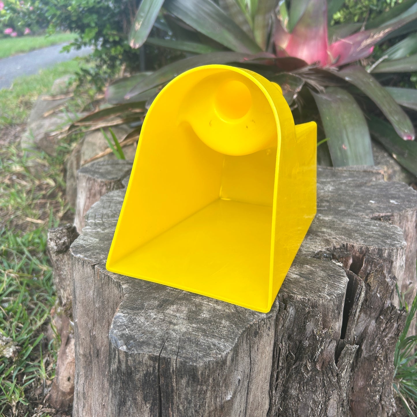 Feed Scoop Large