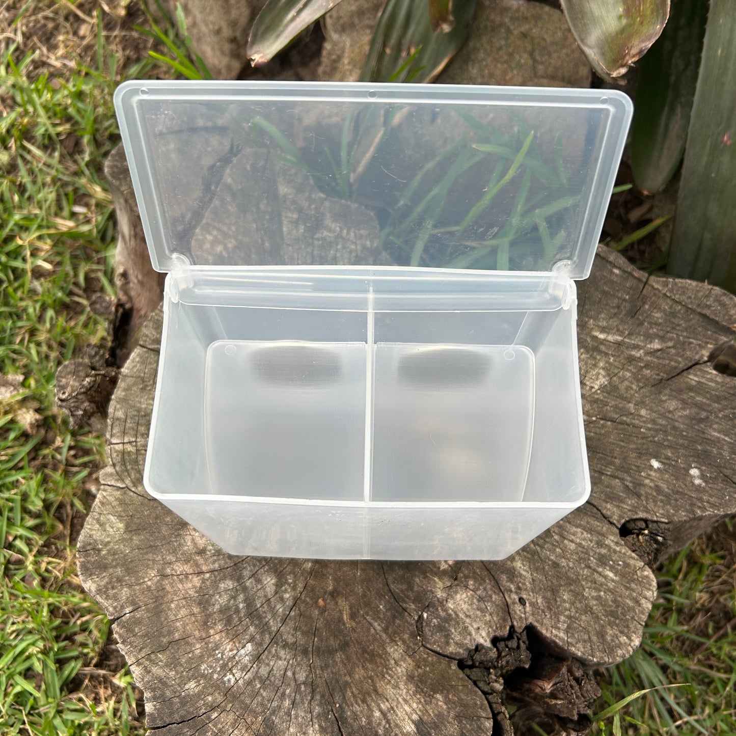 Bird Feeder With Seed Hopper