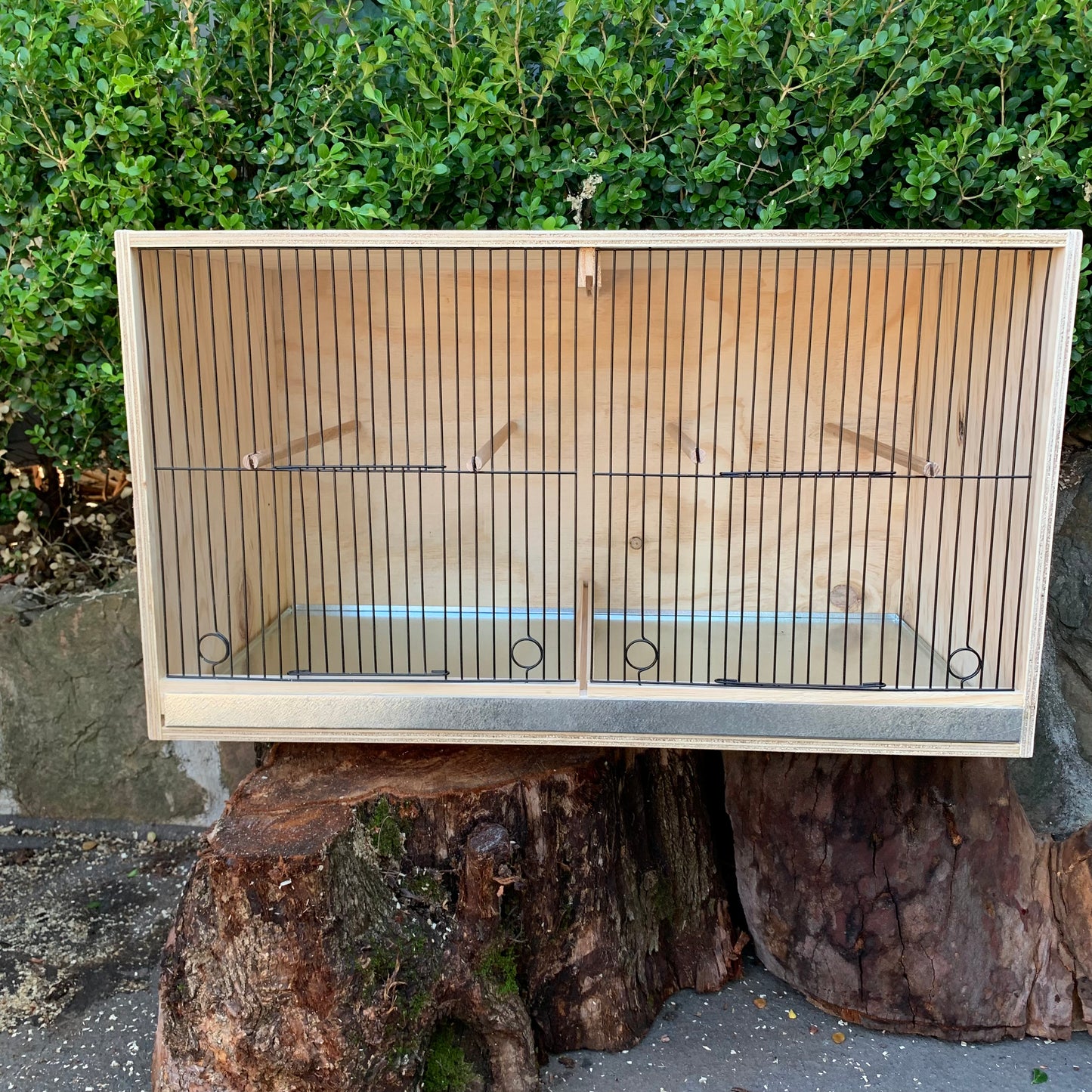 Canary breeding cabinets