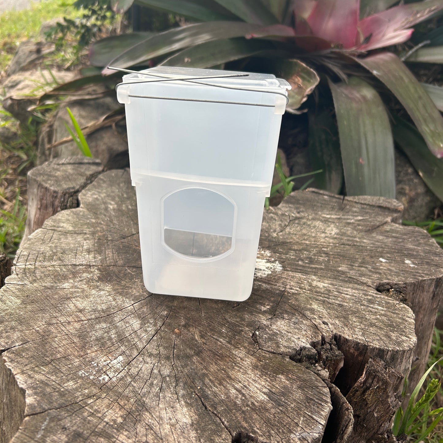 Bird Feeder With Seed Hopper