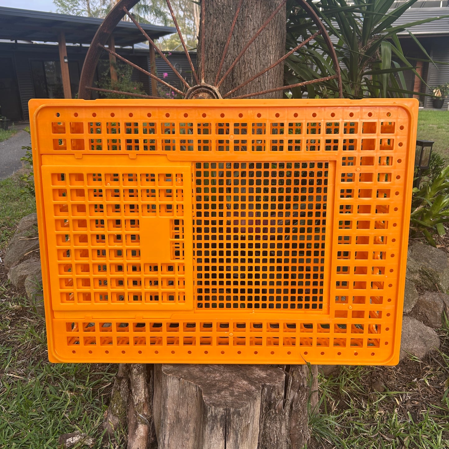 Chicken Poultry Transport Crate Heavy Duty
