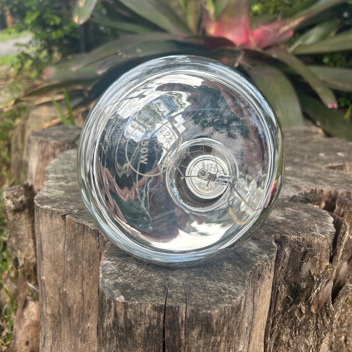 Brooder Light Bulb Infrared Or Clear 100 - 150 Watts