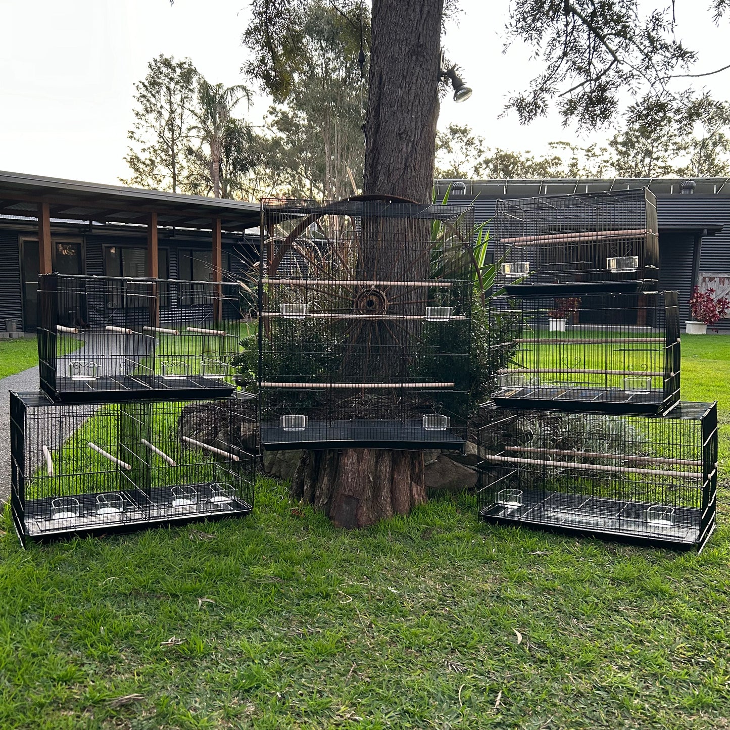 3 Bird Flight Cages with Divider 75cm