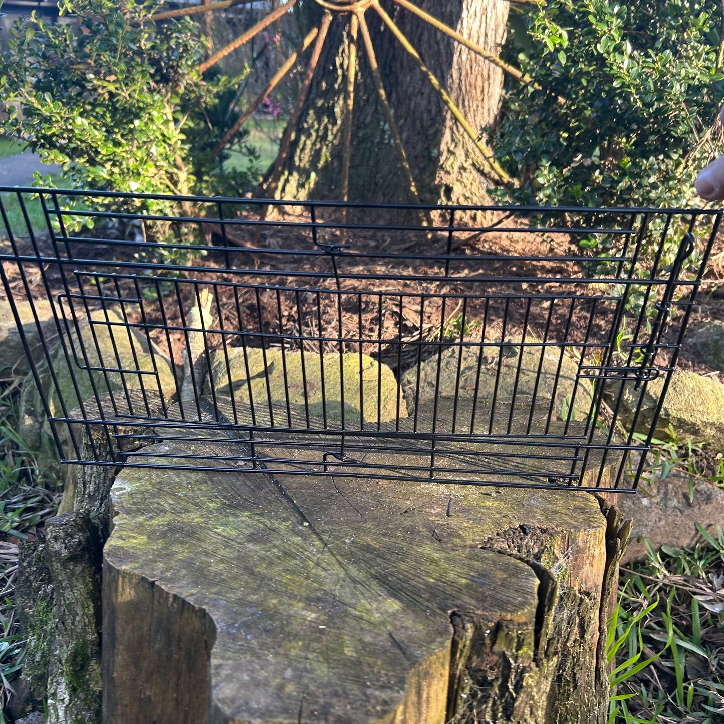 Suspended Aviary Or Cage Swivel Door Black