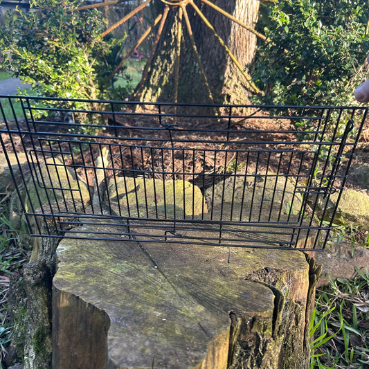 Suspended Aviary Or Cage Swivel Door Black