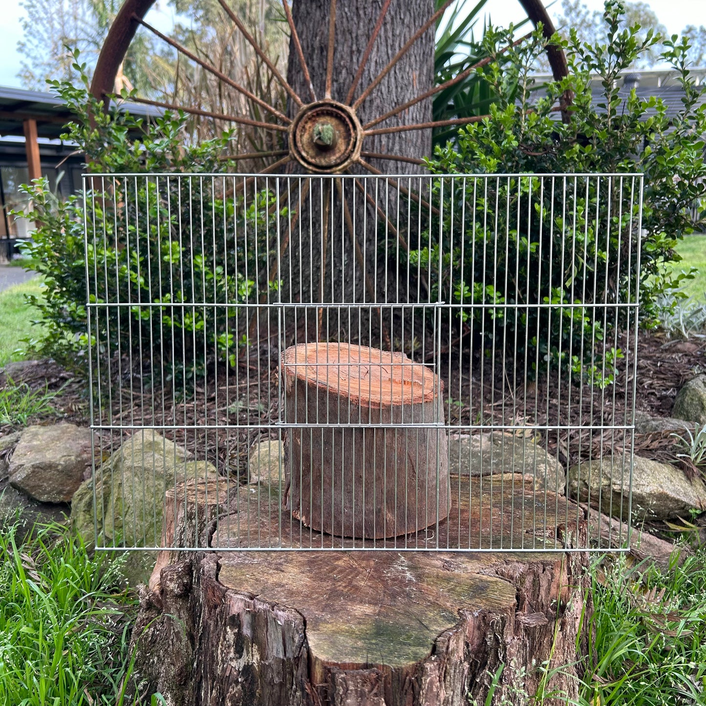 Finch Cage Front