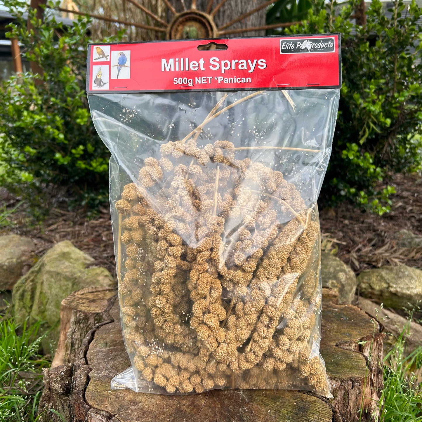 Millet Spray Large 500g