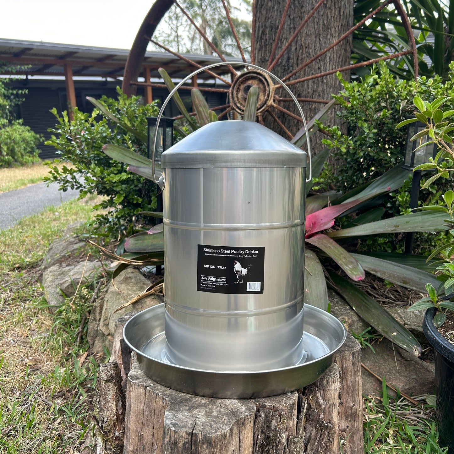 Stainless Steel Poultry Chicken Drinker 13l