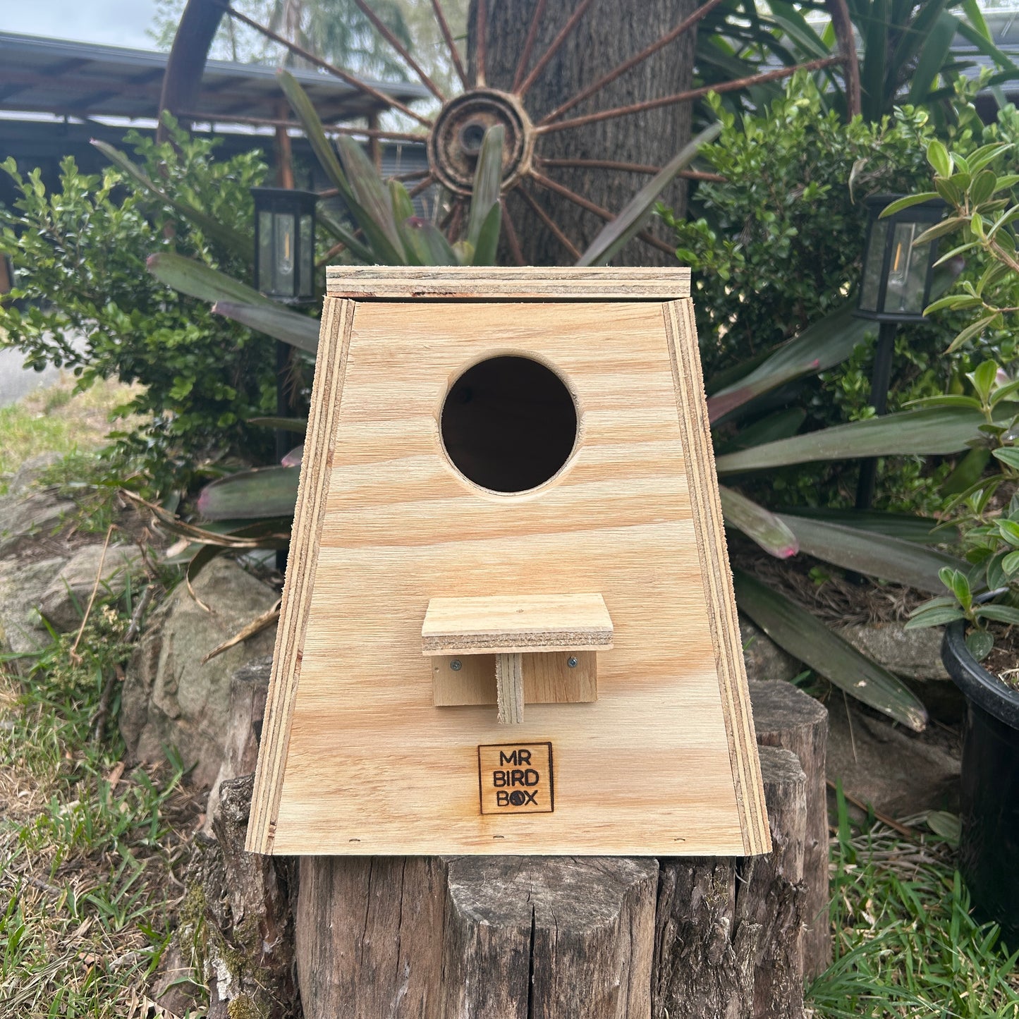 Parrot nest box - medium