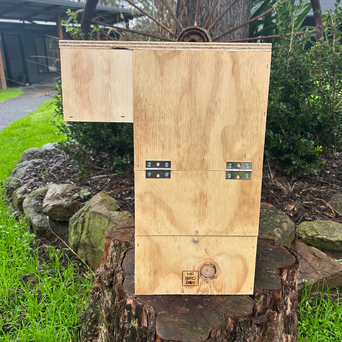 Quaker Parrot nest box medium