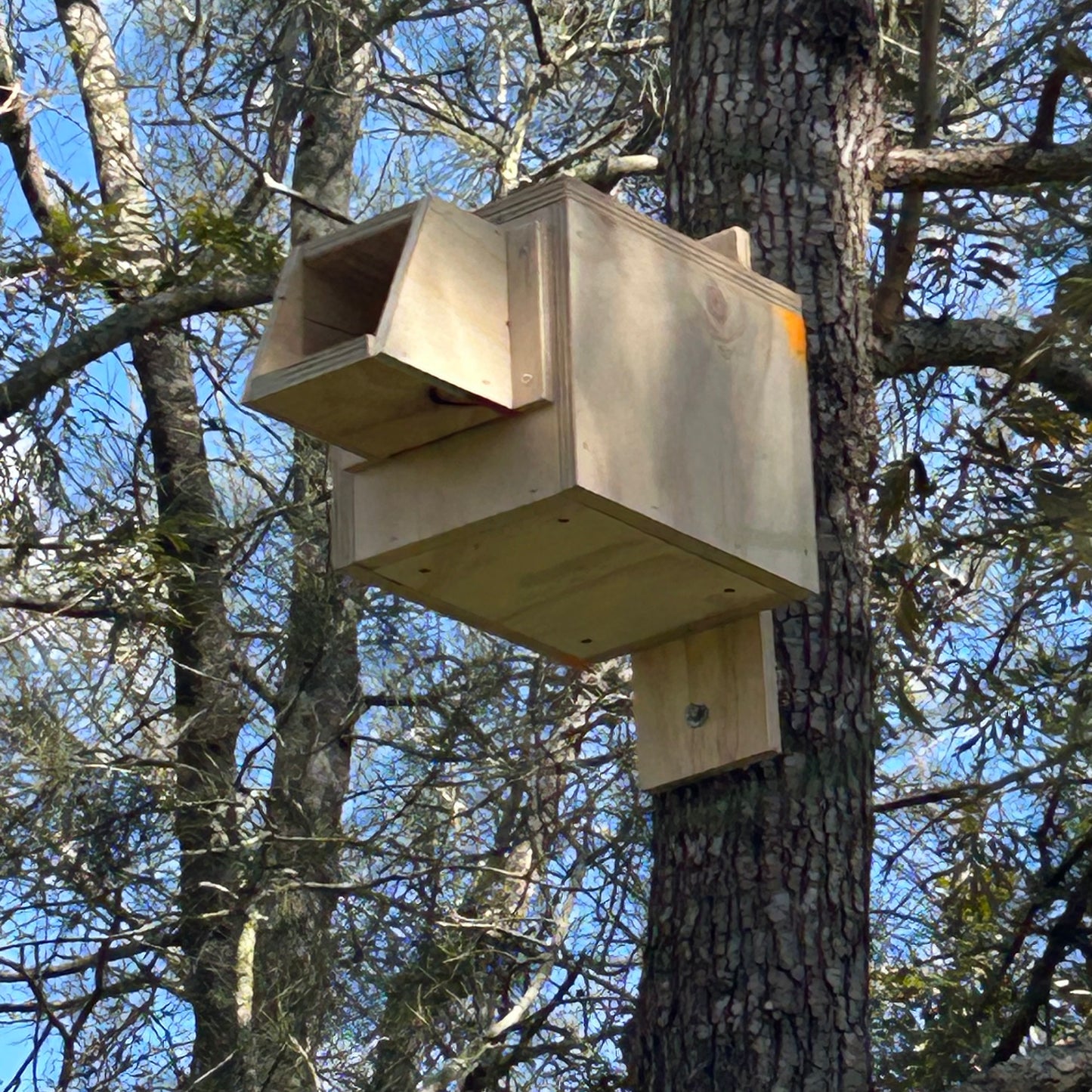 Kookaburra Nest Box Exterior Use