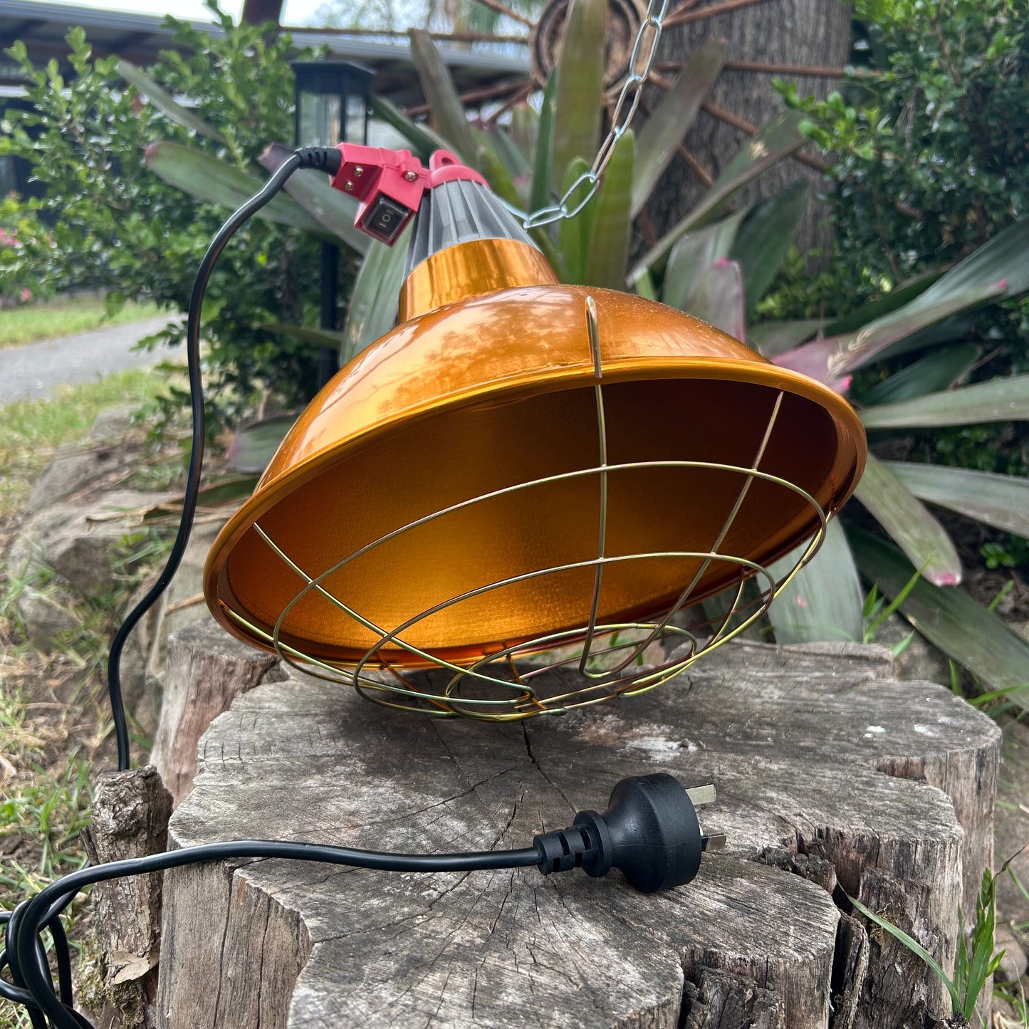 Brooder Heat Lamp