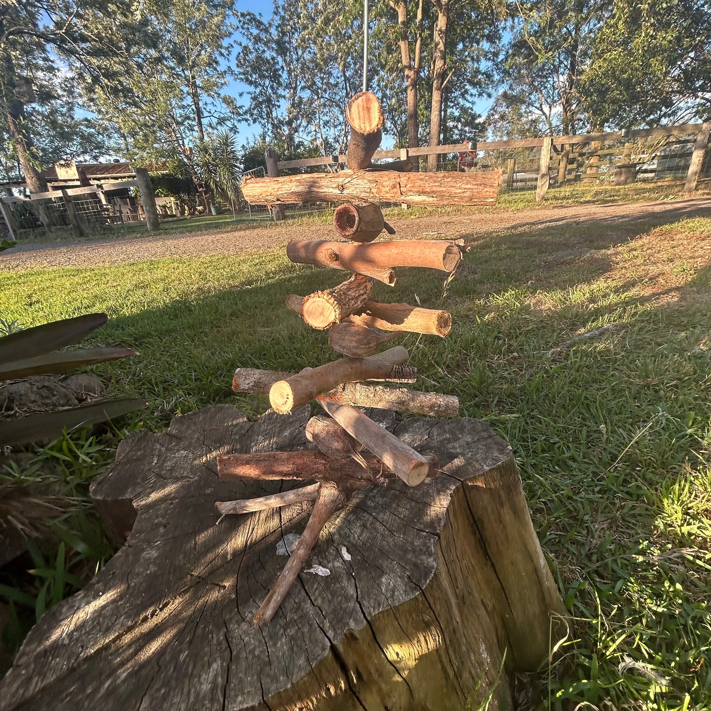 Natural Bird Toy Jungle Climb