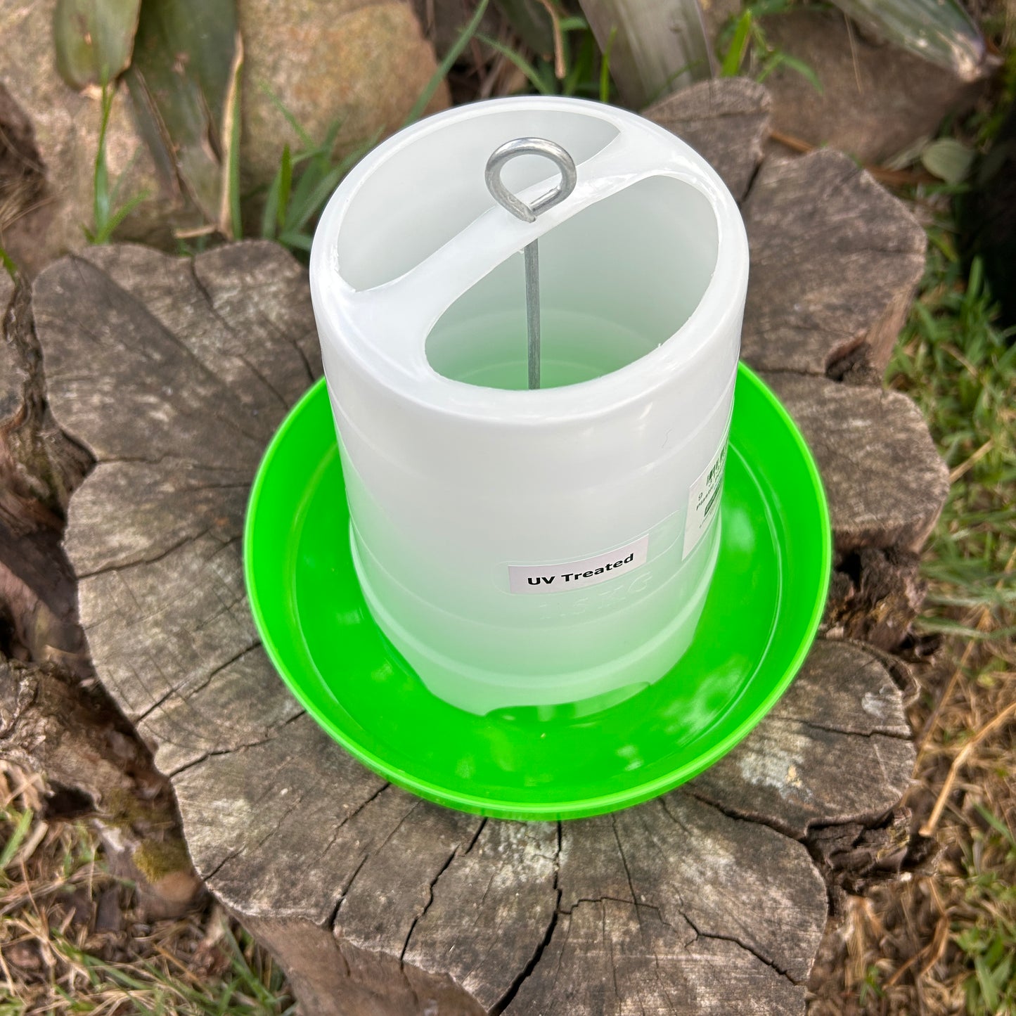 Poultry Chicken Feeder 1.5kg Green