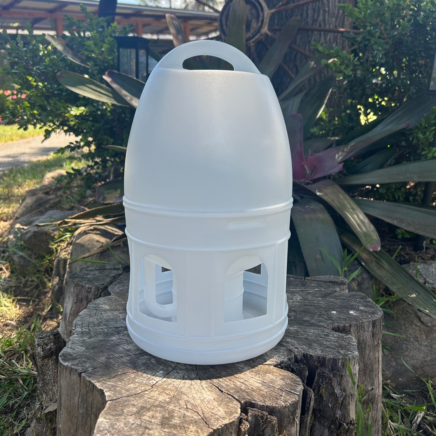 Bullet Drinker for Pigeon Chicken Poultry