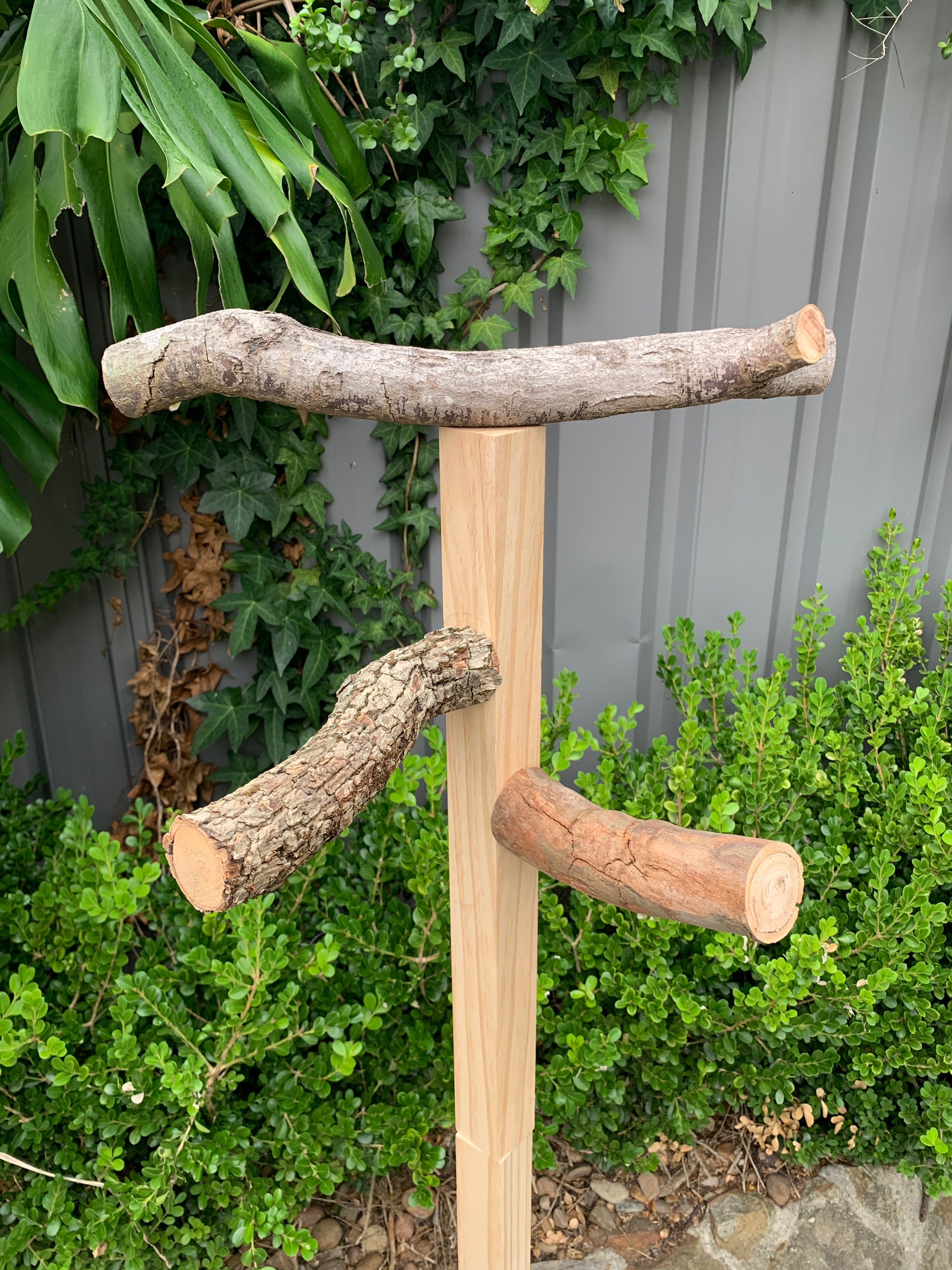 Bird stand 3 perches – MrBirdBox