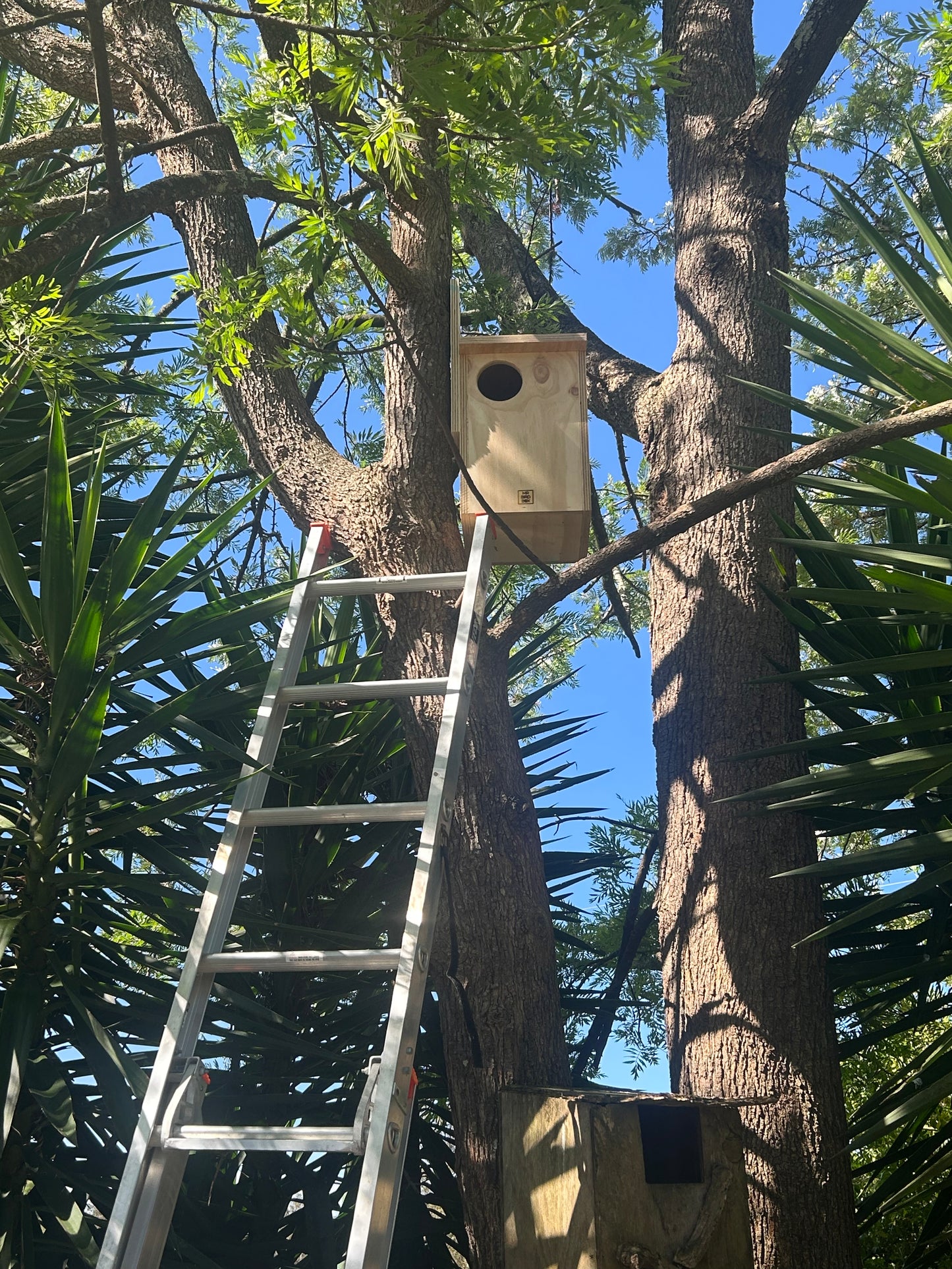 Possum Nest Box