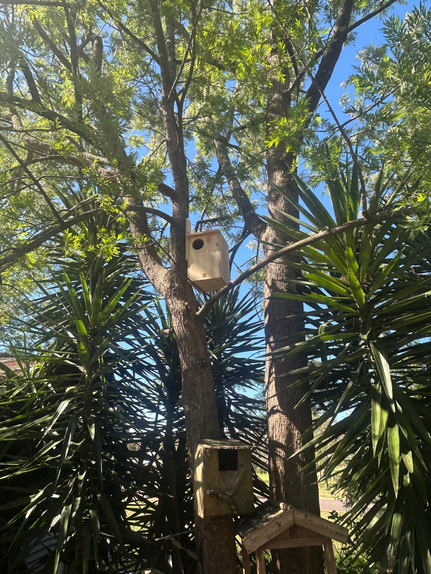 Possum Nest Box