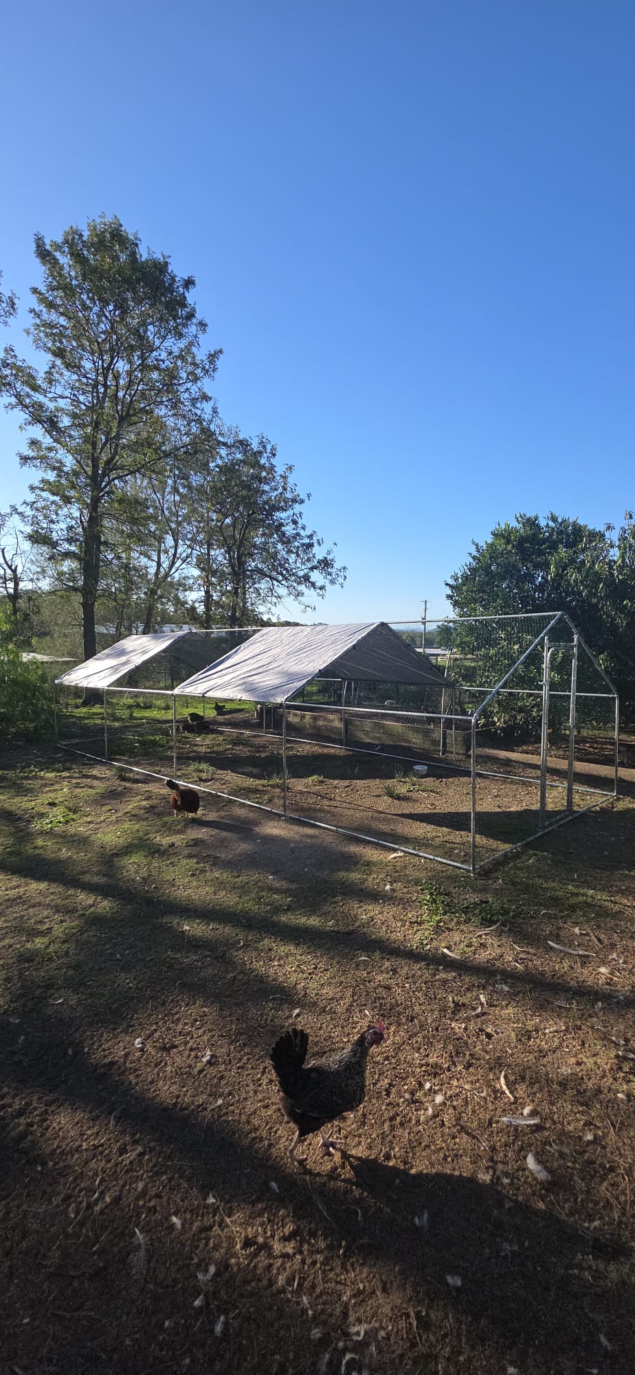 Chicken coop 8 x 3 x 1.95m