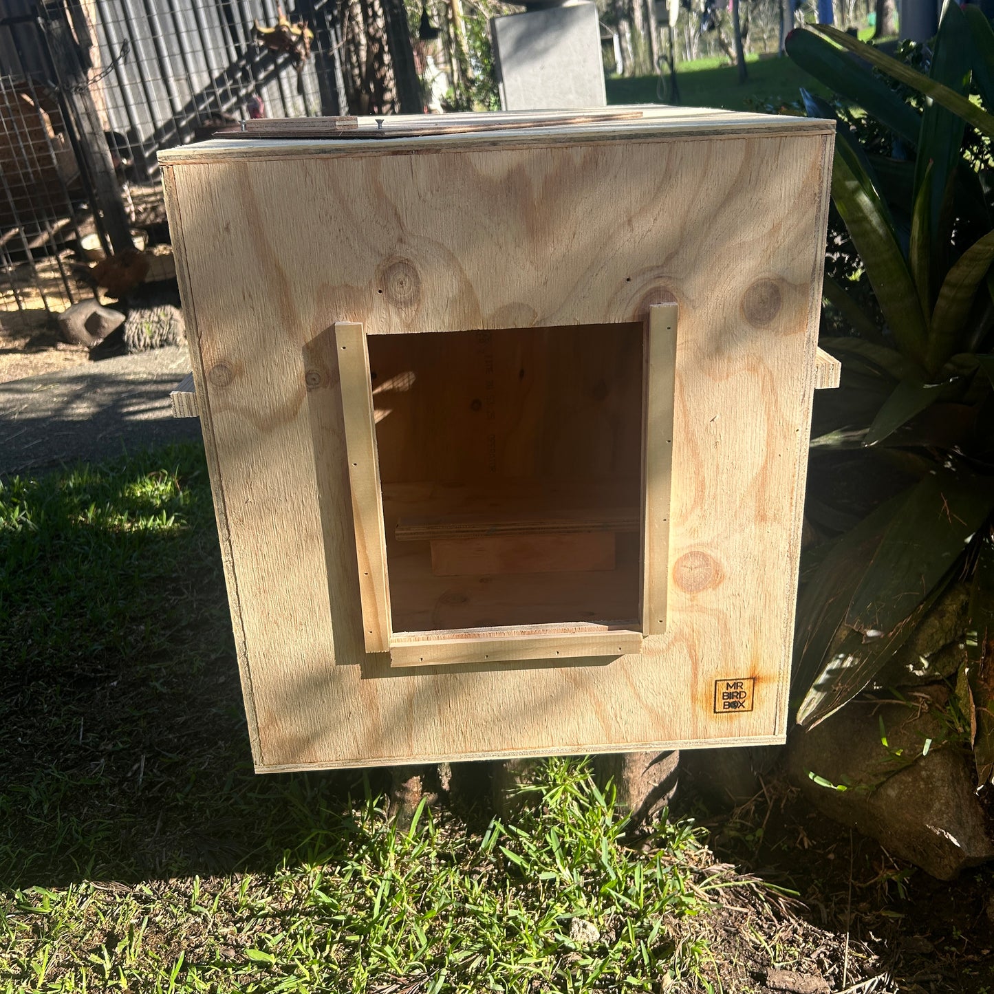 Bird Freight Boxes - Airline Compliant
