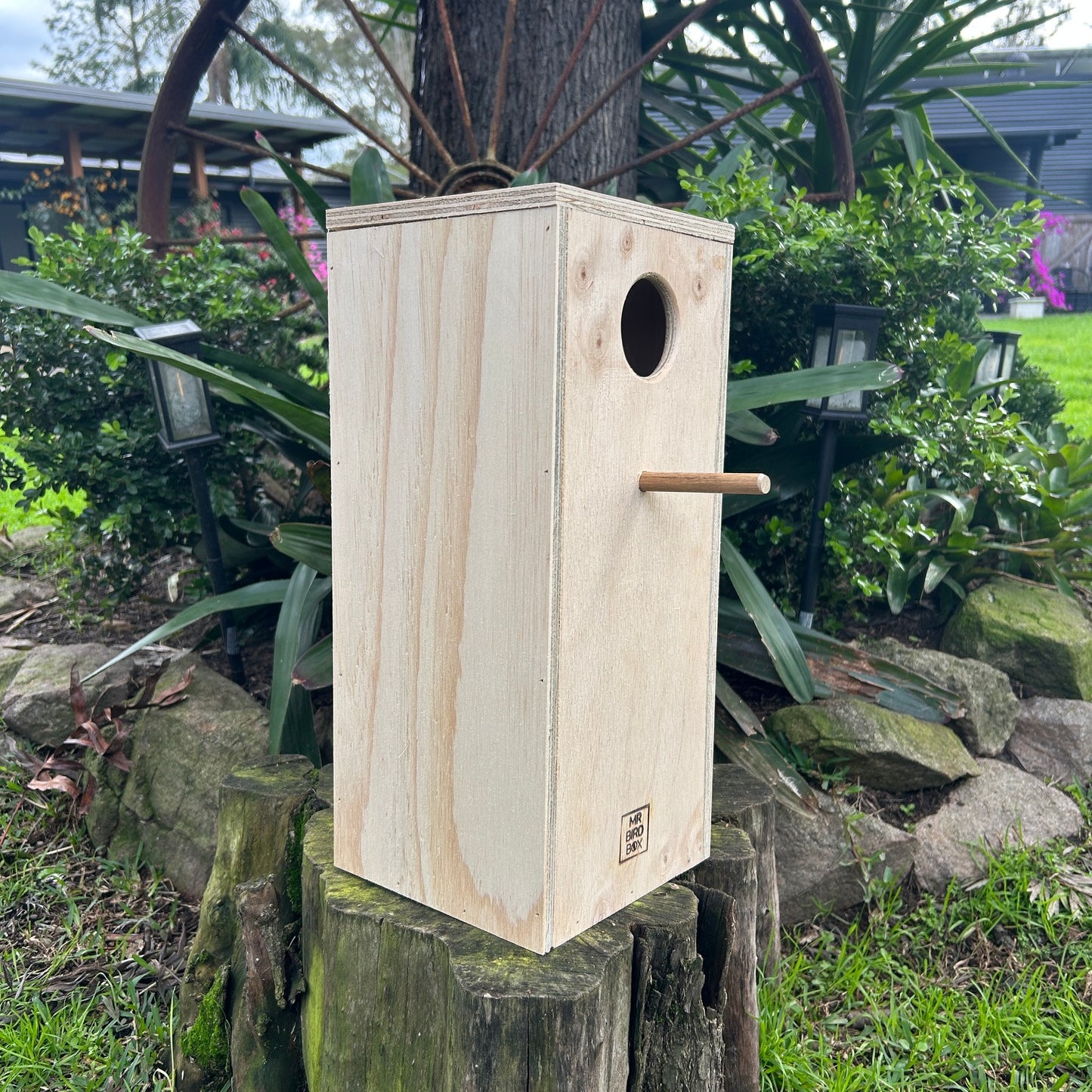 Parrot Nest Box Lorikeet