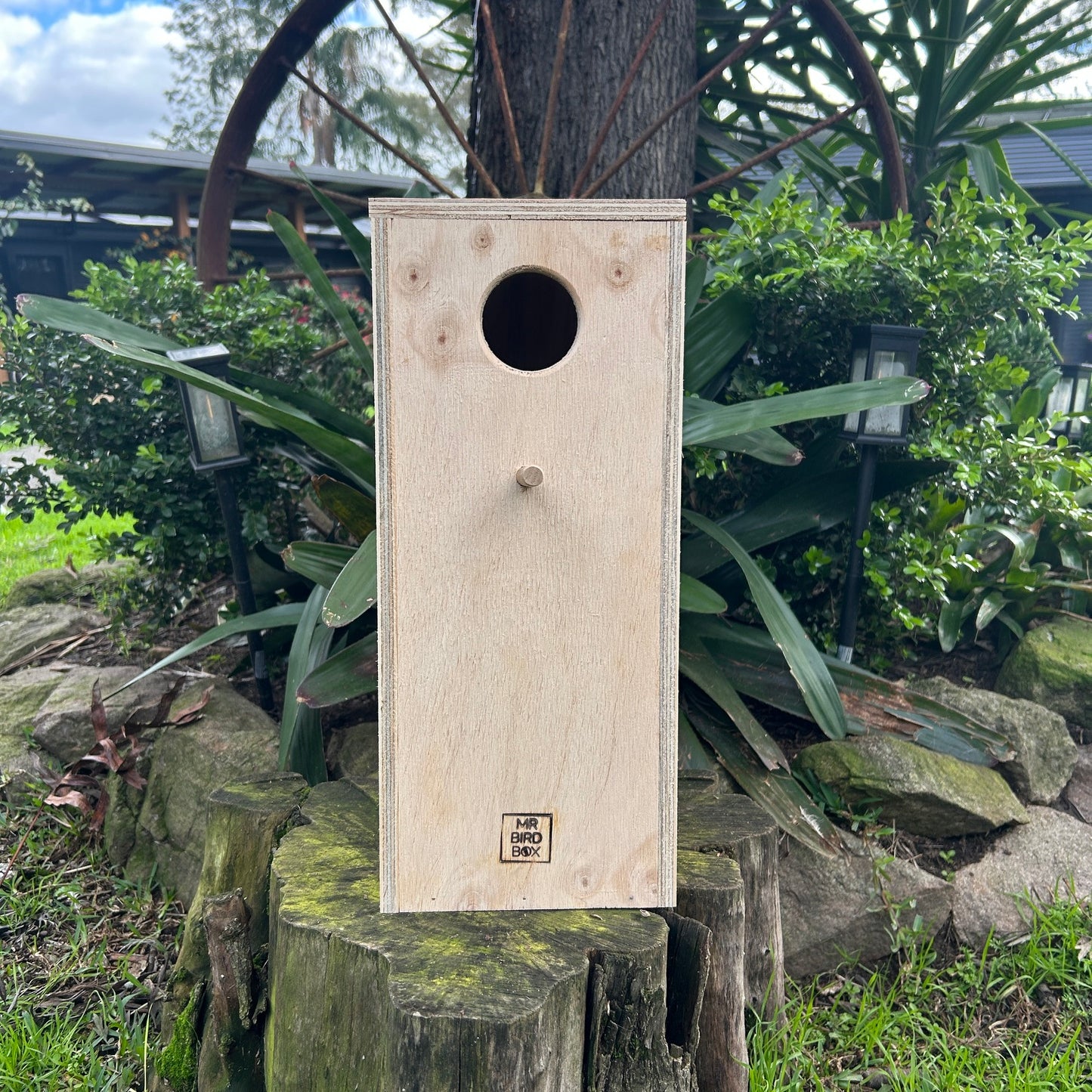 Parrot Nest Box Lorikeet
