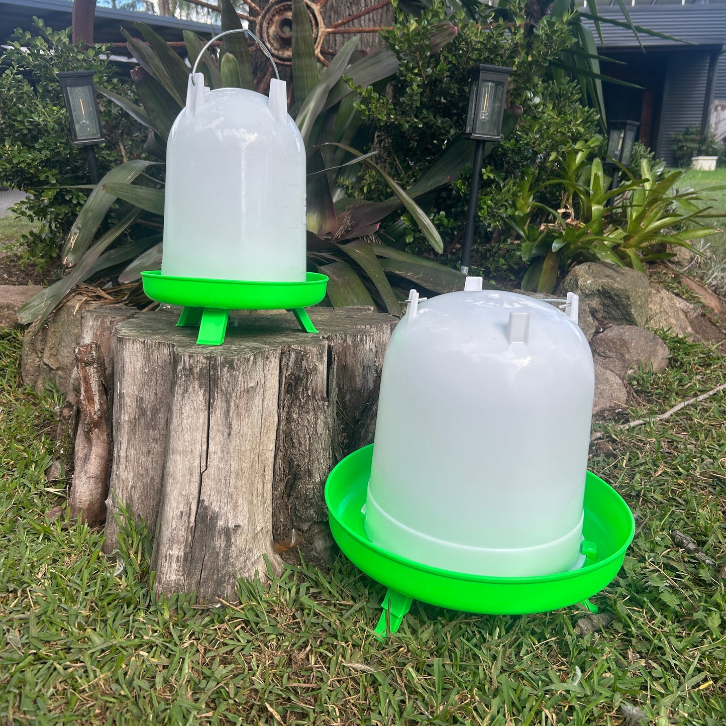 Poultry Drinker Green With Legs